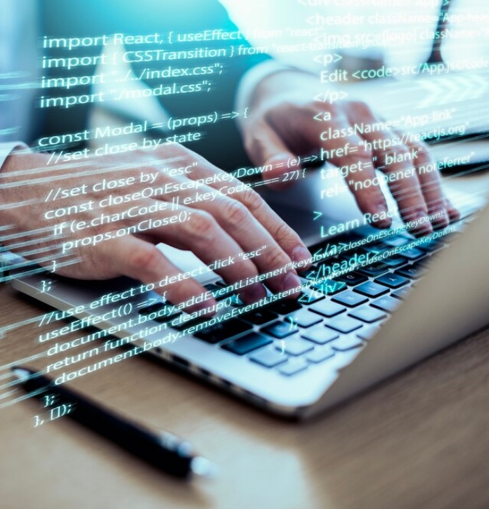 web application development description