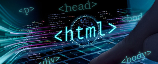 Custom Web Development